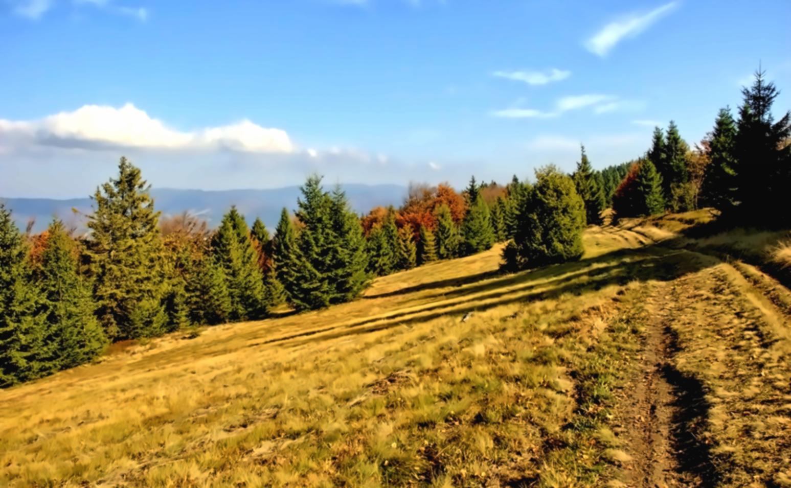 Horská krajina a ekosystém